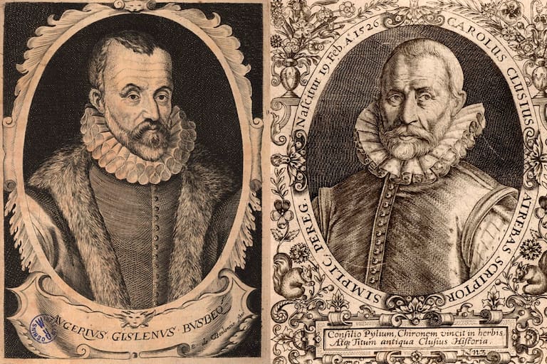 Ogier Ghiselin de Busbecq y Carolus Clusius