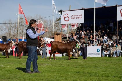 Ojea Rullán como jurado en una exposición
