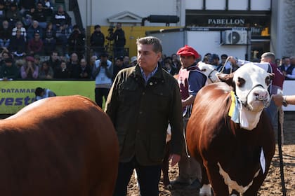 Ojea Rullán destacó el avance general de la raza en esta exposición: “Había entre 60 y 70 hembras en competencia y se notó un salto cualitativo muy importante"