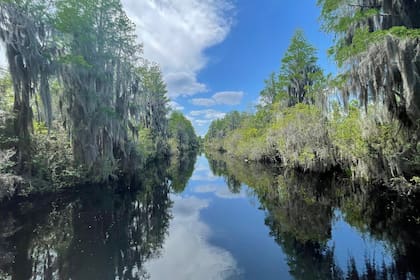 Okefenokee ingresó a la Lista del Patrimonio Mundial en 2026