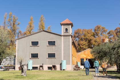 Olivícola Laur, fuente de uno de los aceites de oliva más premiados del mundo.