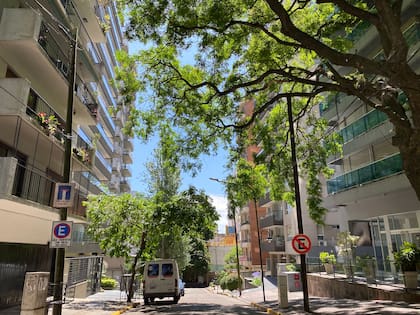 Olivos y Vicente López son los barrios más caros para alquilar en zona norte