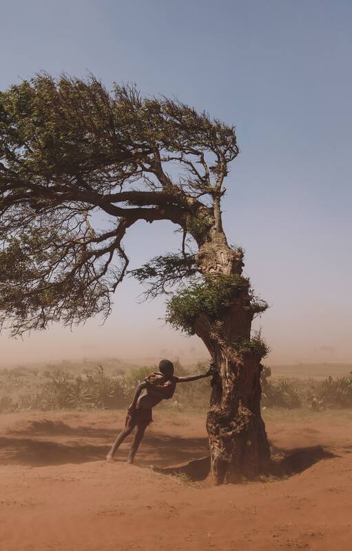 On 3 February 2022 in Ambovombe, Androy region, Madagascar, a boy takes shelter on a tree that grows in the direction the “Tioka” wind blows, to protect himself from the sandy wind.
In Southern Madagascar, Tioka is a wind that blows all year round and can create formations of dust and sand waves, it can also travel hundreds of kilometres and cover the agricultural lands of several regions like Anosy, Androy and Atsimo Andrefana.
The phenomenon called Tiomena by the locals (Clouds of dust, red wind), can turn a road into a dune in just three days, and it can be observed in its most spectacular formation in the Androy region. According to local farmers, this phenomenon has become more frequent since 2019.
With a growing population, forests are often destroyed to make way for new agricultural land. The gradual disappearance of the forest leads to the denuding of the ground and increases the Tiomena's radius of action. According to a farmer, agricultural land bordered by forests is often spared by the Tiomena, but the plains are devastated.