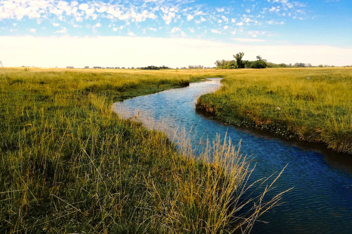Oneiric and beautiful River in the country of Argentina