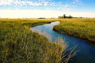 Poesía e inclemencias climáticas en la región gaucha