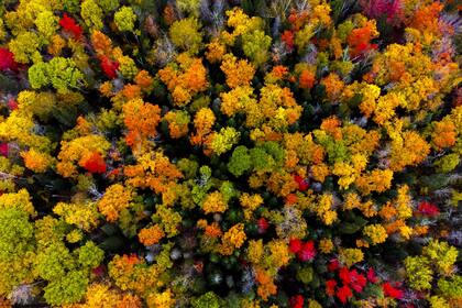 Ontario, Canadá. Edición fotográfica de Jesica Rizzo