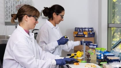 Oobli produce proteínas dulces utilizando levadura y azúcar.