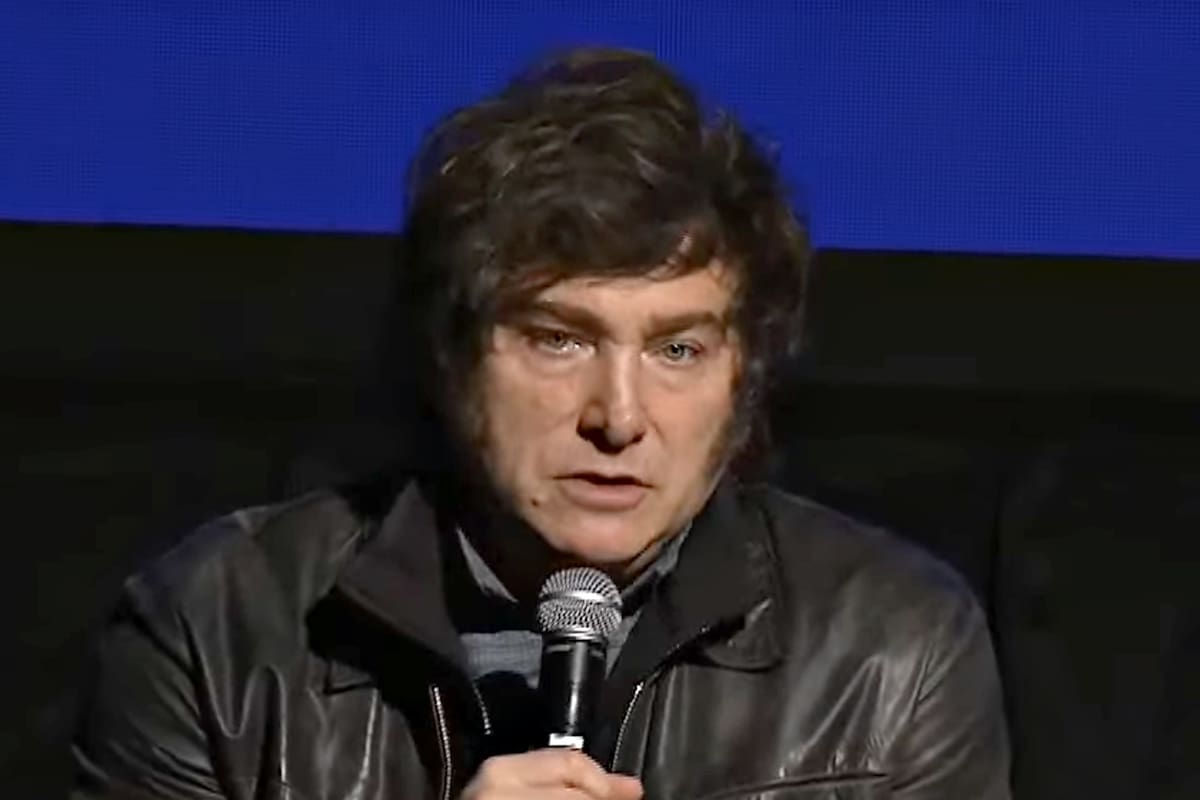 “Operación maliciosa”. Qué dijo Milei tras la renuncia de Espert a su candidatura