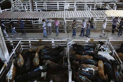 operadores Liniers es clave para transacciones que van desde la hacienda a contratos de alquiler