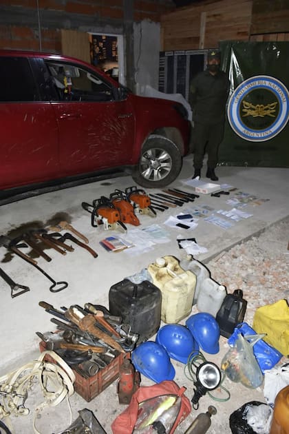 Operativo contra la explotación laboral en un campo de eucaliptos en Concordia, Entre Ríos