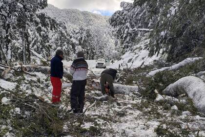 Operativo de emergencia para restablecer la circulación en el Camino de los Siete Lagos