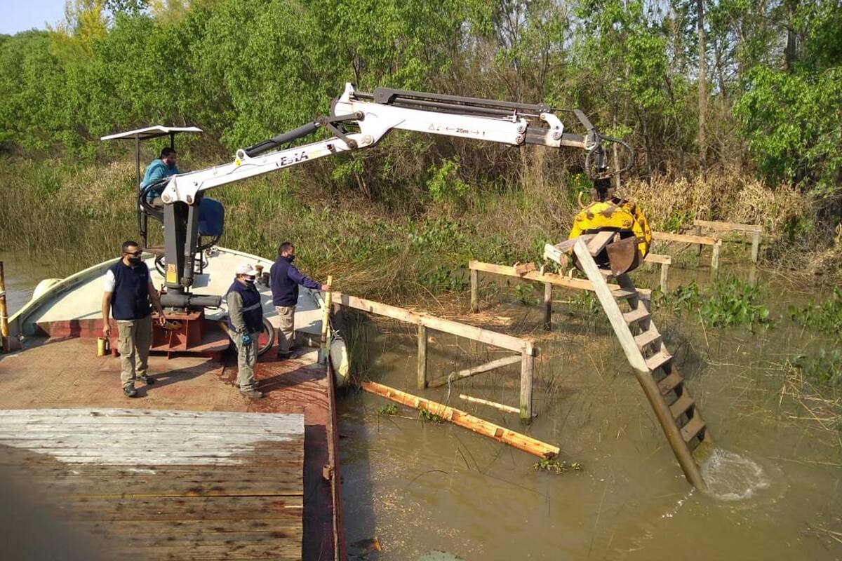 Operativo de la municipalidad de Tigre que empezó a sacar los muelles de las islas del Delta para evitar la construcción de viviendas