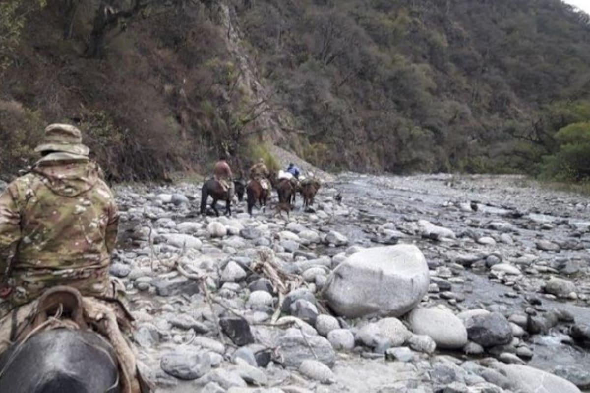 operativo de trasslado de urnas, particularmente en zonas montanosas.