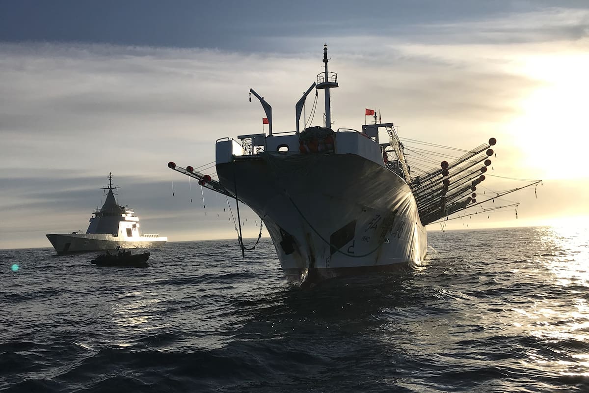 Operativo para combatir la pesca ilegal