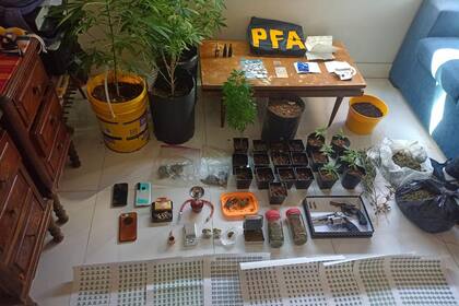 Operativo para desbaratar una banda que producía estupefacientes