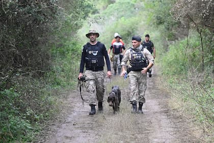 Operativos de rastrillaje y búsqueda de Loan Peña, el niño de 5 años que desapareció de la localidad de El Algarrobal, Corrientes. El árbol de naranjas donde fueron a juntar frutas