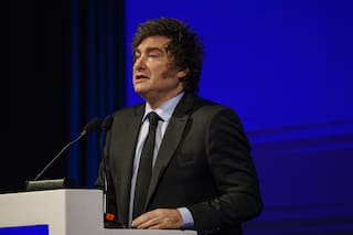 Opositor peronismo triunfa en legislativas de clave provincia argentina: dato oficial