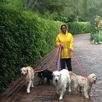 Oprah Winfrey es una de las figuras más influyentes de Estados Unidos