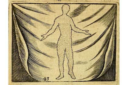 Orbis le enseña a los alumnos sobre los seres vivos, pero no sólo sus cuerpos sino también sus almas: el alma "Vegetativa" de las plantas, el alma "Sensible" de los animales y el alma "Racional" del hombre (ilustrada aquí)
