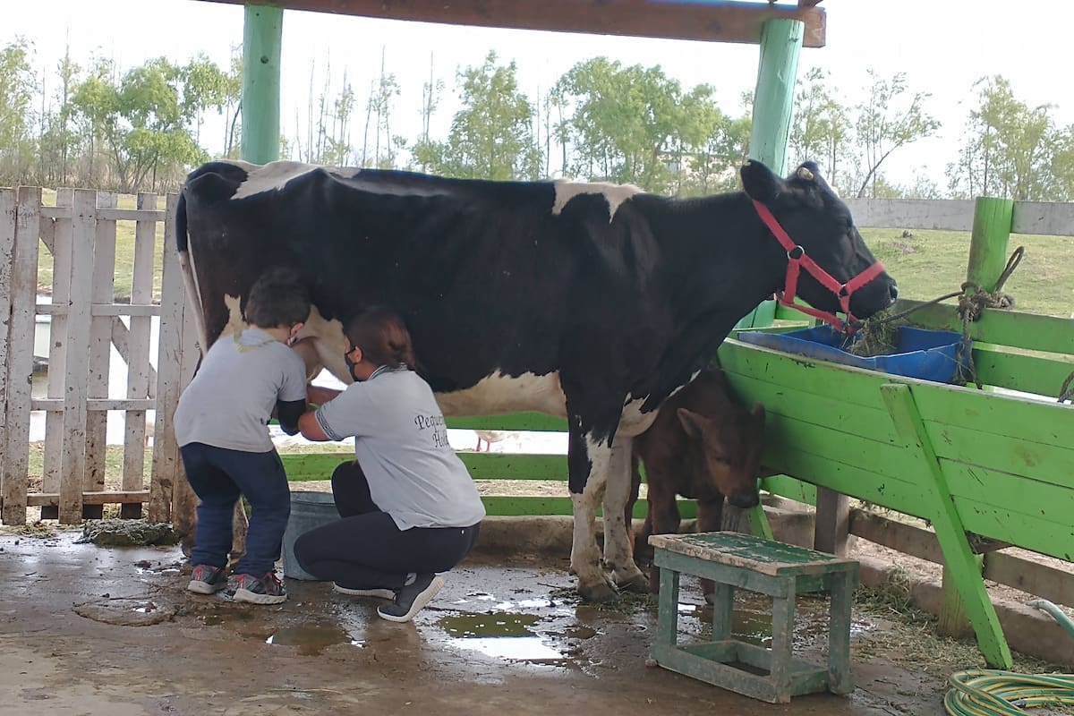 Día de campo en Pequeña Holanda, Escobar