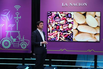 Ordoñez mostró cómo era la papa nativa americana y cómo fue su evolución tal como se la conoce hoy en día
