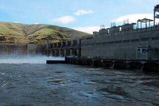 Oregon, Washington y tribus regresan a la corte luego que Trump canceló acuerdo que salvaría salmón