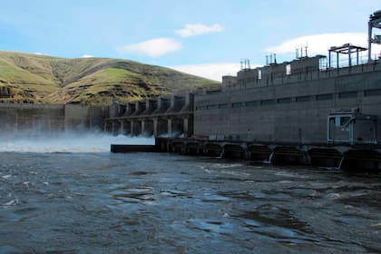 Oregon, Washington y tribus regresan a la corte luego que Trump canceló acuerdo que salvaría salmón