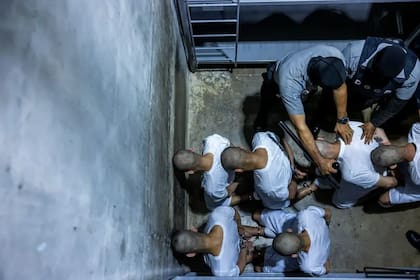 Organizaciones de derechos humanos condenan que el gobierno de Nayib Bukele ofrezca a Trump que el El Salvador se convierta en "un Guantánamo centroamericano"