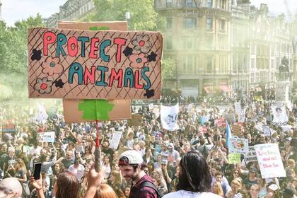 Organizaciones y militantes saldrán a la calle a difundir el mensaje de respeto por el animal
