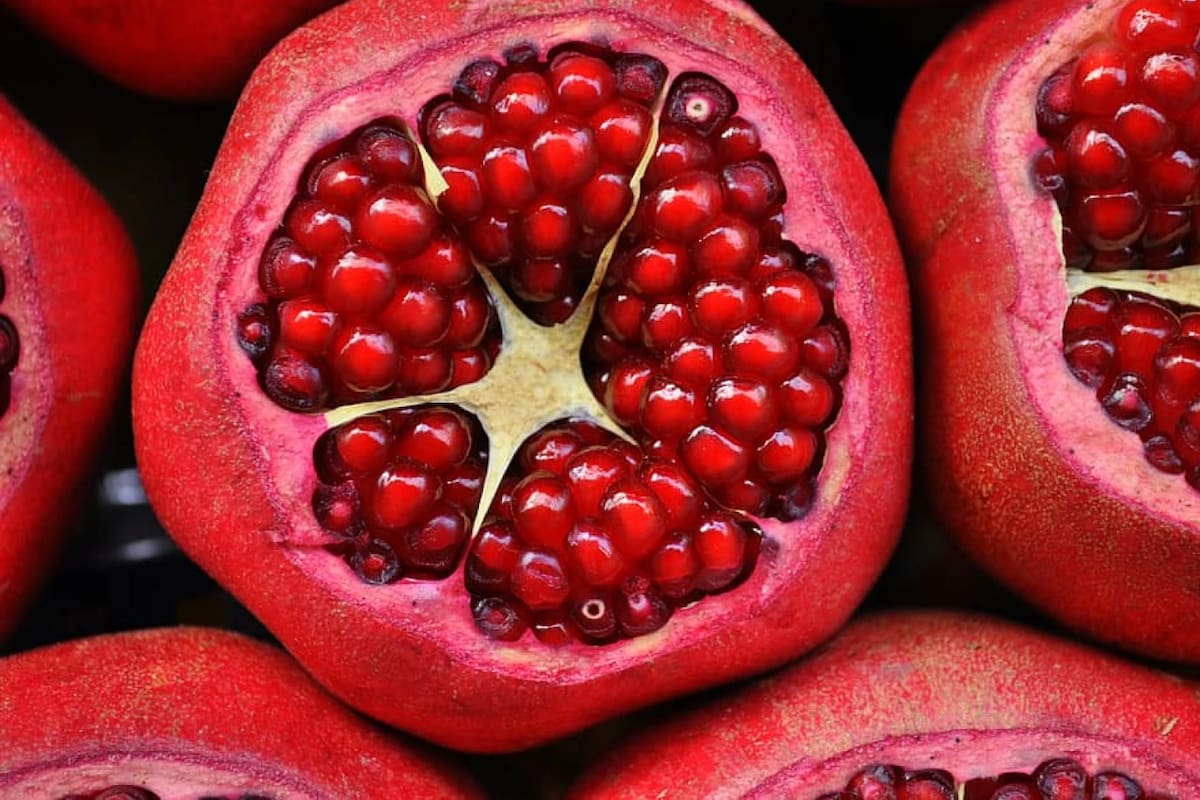 Originaria de la región de Persia (actual Irán), el cultivo de la granada se ha expandido por la cuenca del Mediterráneo, América del Sur y parte de Asia