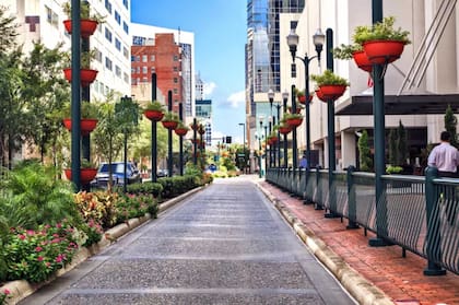 Orlado tiene una población de 199.336 mil habitantes (1,8 millones en el área metropolitana). Es la sexta ciudad más grande de Florida.