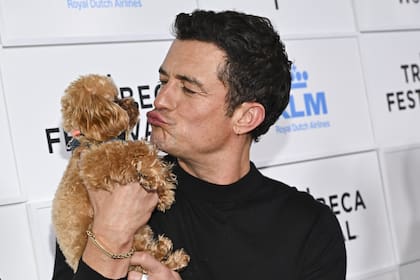 Orlando Bloom en el estreno de Deep Cover: actores encubiertos, en Nueva York