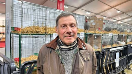 Oscar Figoni, expositor en la carpa de aves