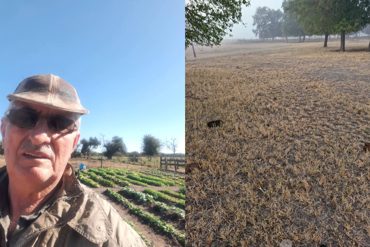 Oscar Muchutti, productor de Machagai, Chaco, donde atraviesan una intensa sequía