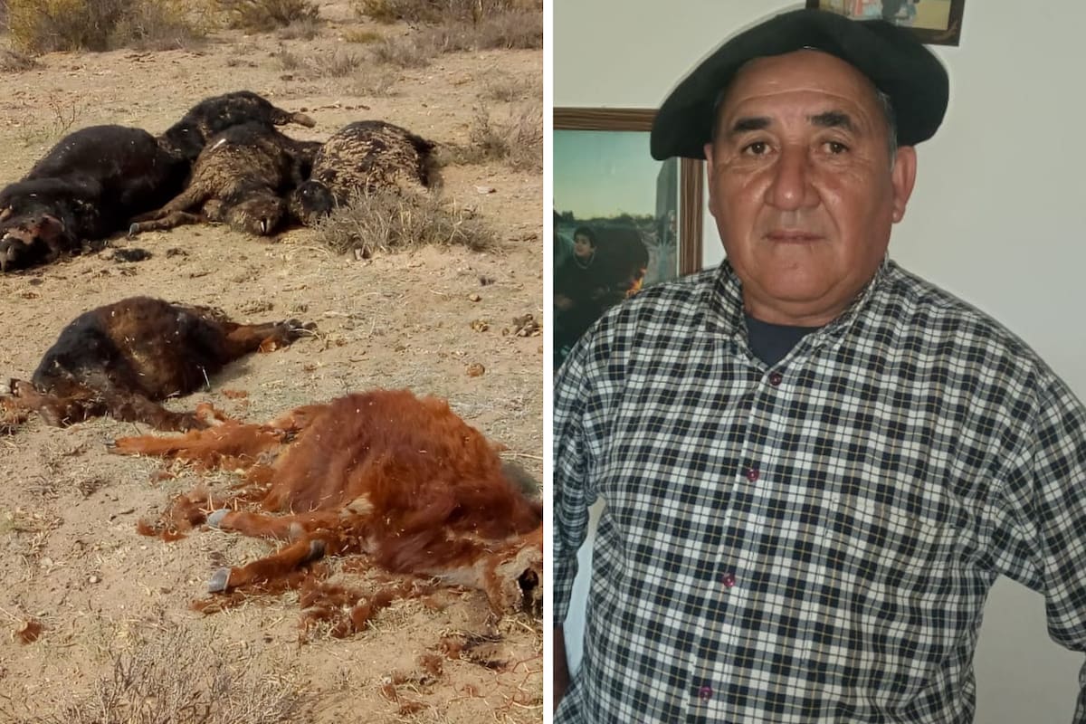 Óscar Trancamilla, productor agropecuario