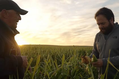 Oscar y Andrés Jaratz, productores agropecuarios de la empresa familiar Grupo Médanos