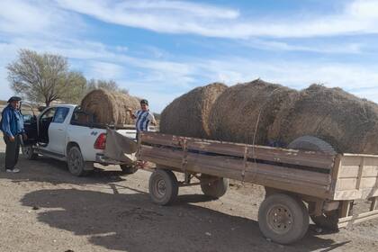 Óscar y su hijo mientras llevaban rollos de alimento para los animales