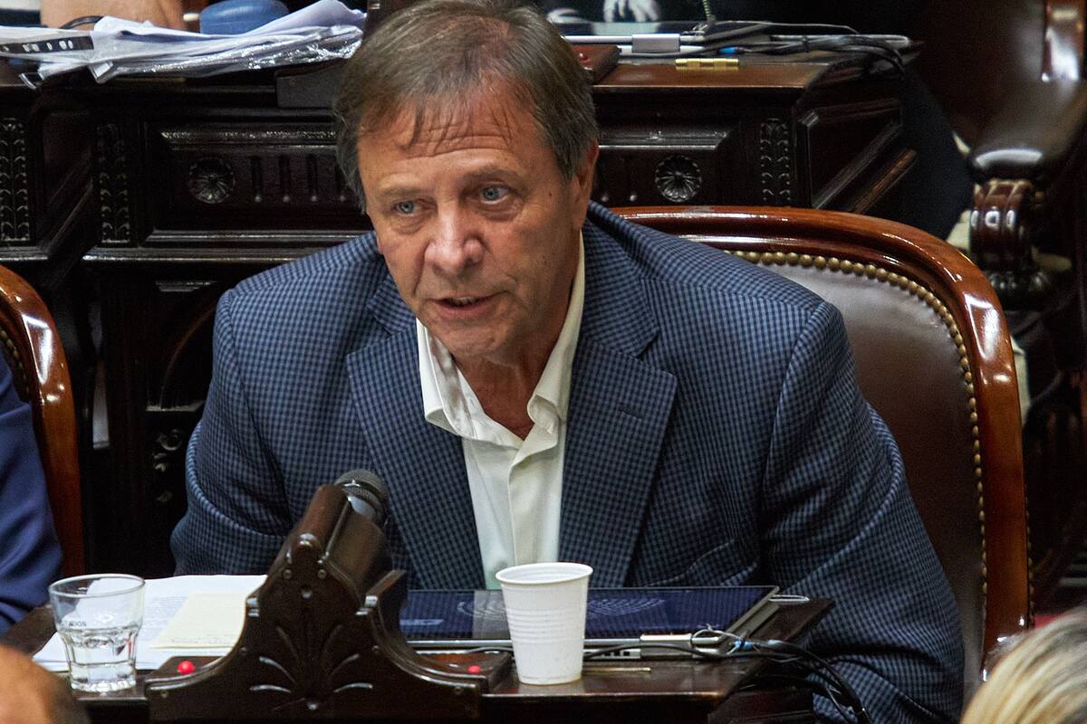 Oscar Zago, jefe del bloque de diputados de La Libertad Avanza