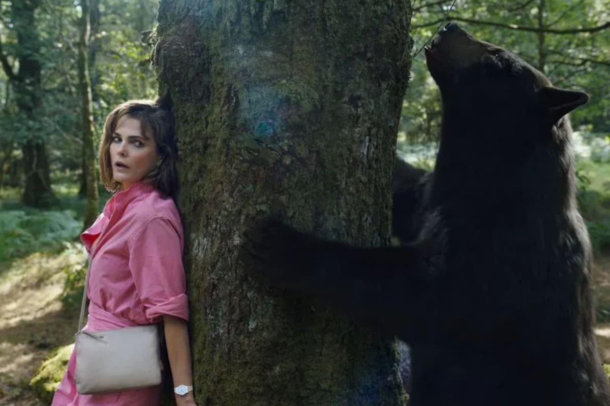 Oso intoxicado, una de las películas que forma parte del ranking para este fin de semana (Foto: Netflix)