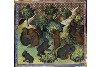 Osos pardos representados en una miniatura de principios del siglo XV del Livre de la Chasse de Gaston Phébus
