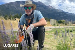 De criar vacas a cultivar flores: la historia detrás de la chacra de lavandas más austral del mundo