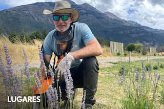 De criar vacas a cultivar flores: la historia detrás de la chacra de lavandas más austral del mundo