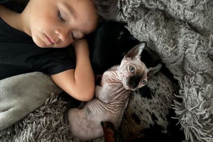 Otra de las famosas que adquirió este gato de medio millón de pesos es La Joaqui