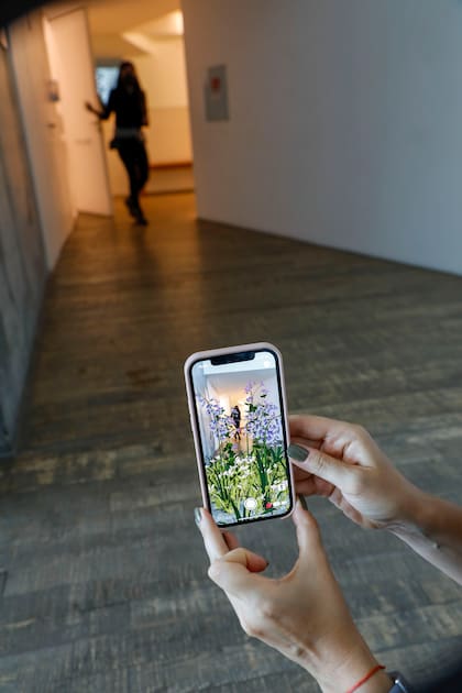 Otra de las obras de la serie Wunderkammer, realizadas por Eliasson
