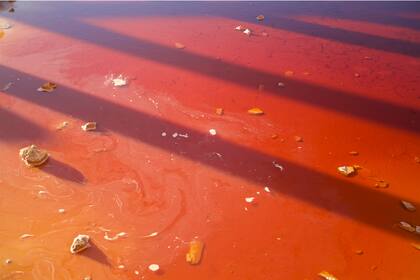 Otra de las problemáticas importantes de la zona es la falta de agua