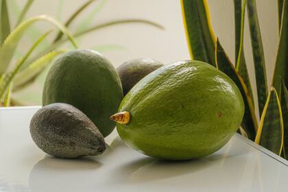 Otra de las razones por las que la palta podría ayudar a dormir mejor es su contenido de magnesio, triptófano y folato (Foto de carácter ilustrativo: PEXELS)