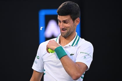 Otra imagen de Djokovic con la mariposa.