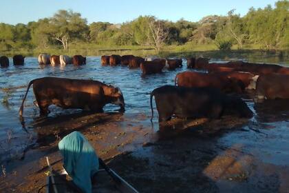 Otra imagen de la hacienda de Debloc en la isla en la zona de Reconquista