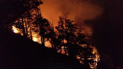 Otra impactante imagen de un incendio forestal en el Parque Nacional Los Alerces a comienzos de 2025