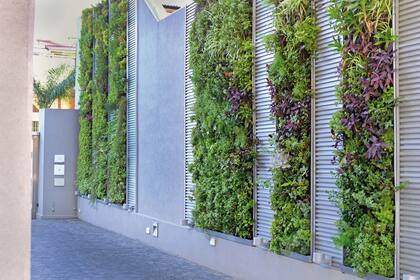 Otra opción de un jardín vertical en tiras para disimular el alto muro lateral.